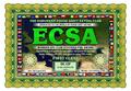 dl1ip-ecsa-first.jpg