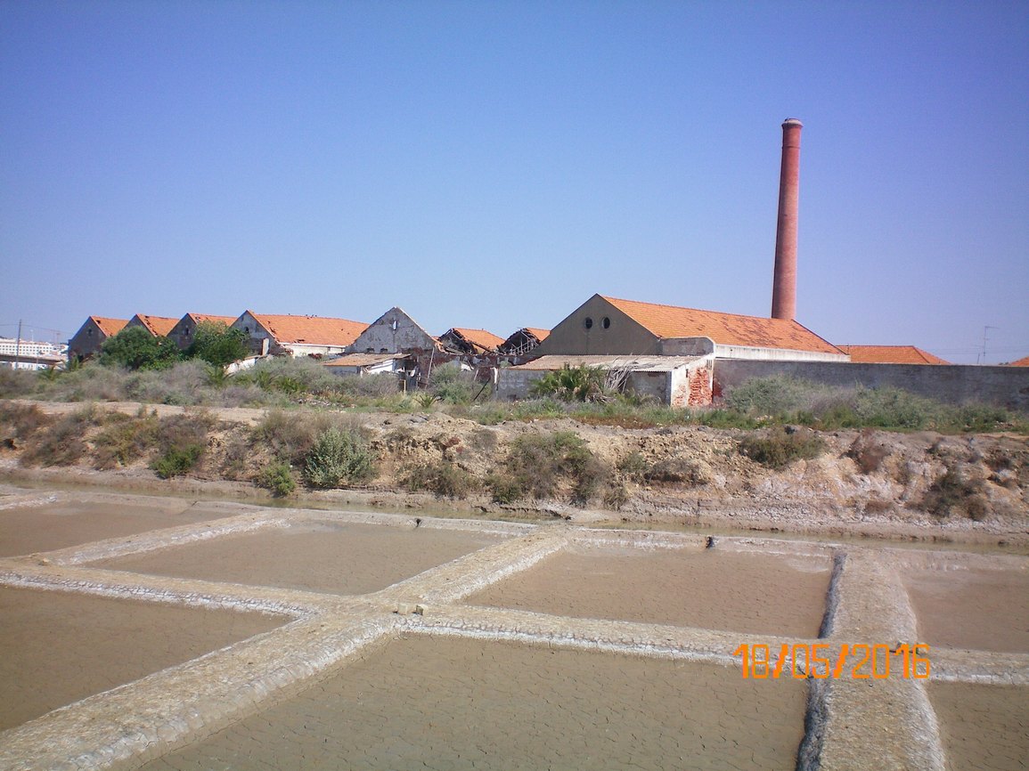 00113.jpg